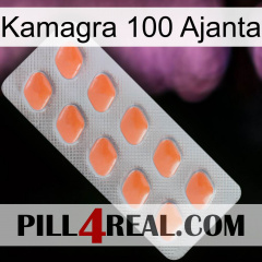Kamagra 100 Ajanta 26
